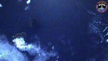 2017年4月8日10時02分頃(GMT) 、ハワイ上空で捉えた流星です．